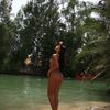 shiraz_sucar