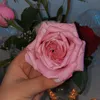 hawqo5