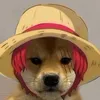 __shiribab