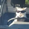 sz_evii__