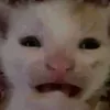 17bowiecds