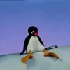 betlog.ni.pingu
