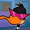 quackuhz