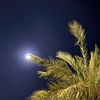 thna_a122