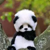 _pandapuki_