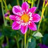 cclarke_33