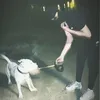 shehateadass