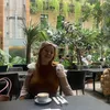 nikol_lifebook