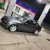 pawelec05