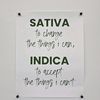 indica.32
