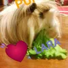 larasweetcookie