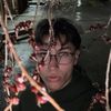 da_releast420