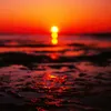 sienaocean2010023