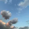 theastabrak