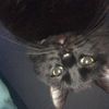nicole20003151