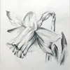 crutherford_.art
