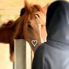 hodman_abshir