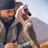 تقي الدين غبني