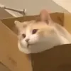 monx_____