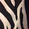 zebra_cat20