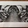 drawing_allday
