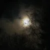 auroraa.k