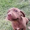 stefy233415