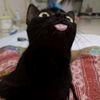 snowblackuwu