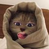estehmanizzz17