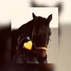 joli._mjt