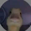 _kkdevak_