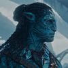 voidsantoru