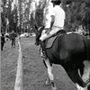 jjoacou
