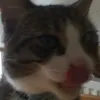 duhh_itz_amb