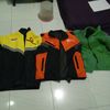 sinya_alan