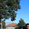 tazsafiq