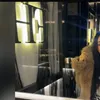 laiba_m17