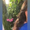 alaa_z41