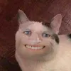 vwecit