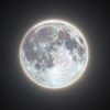 user.com0773