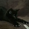 manyyunyaaa