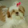 anabeatrizlaurente