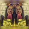 lauwendymascarenhas2