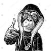 aqui_leon3l