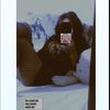 allison_galletita