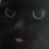 pie_rre0