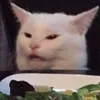 potatofrievbee