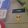 xowgshsv_