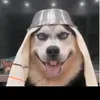 craze_gamernim