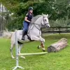 revilee_3